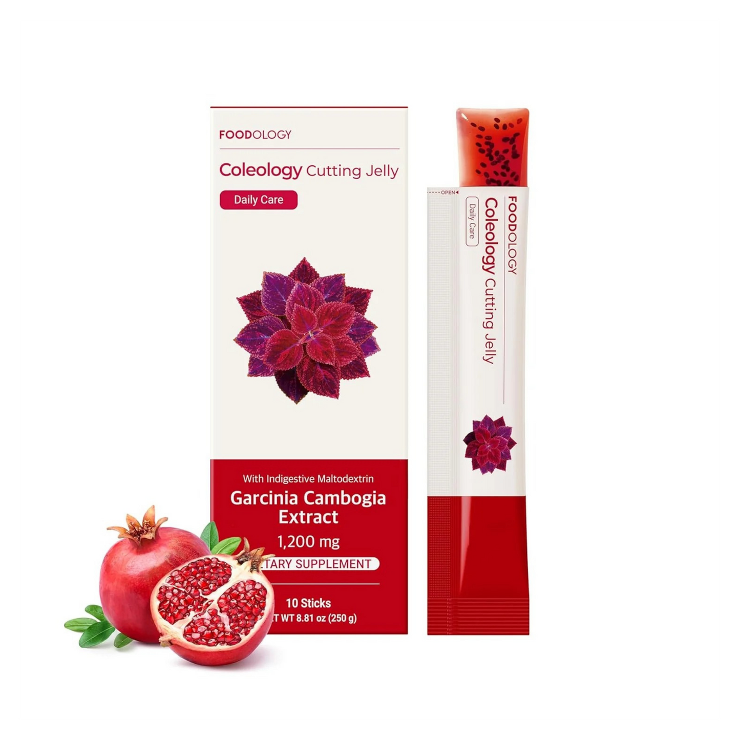 Coleology Cutting Jelly
