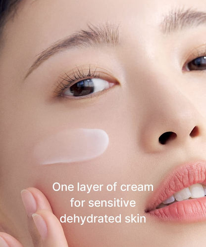 Oil Control Moisturizing Cream