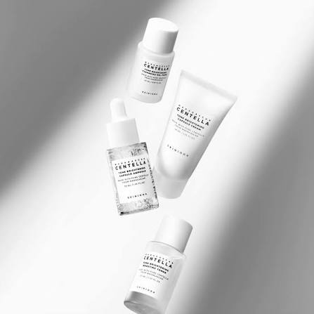 Madagascar Centella Tone Brightening Travel Kit